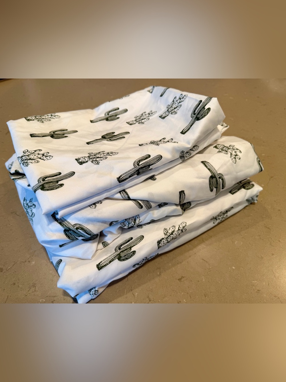 NWOT Wrangler Queen Sheet Set Cactus Print Southwest Desert OEKO-TEX Saguaro